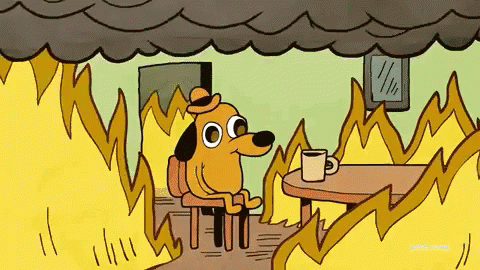Board exams and IPMAT! THIS IS FINE
